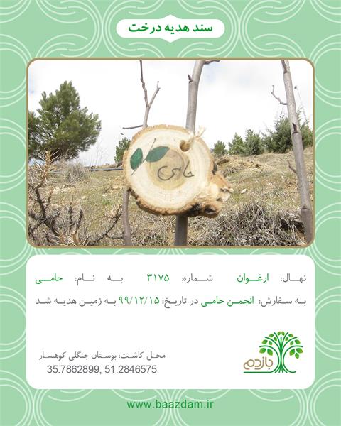 کمپین درختکاری انجمن حامی در سال ۱۳۹۹