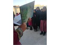 فعالیت‌های کتابخانه‌های مدارس انجمن حامی 3