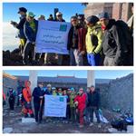 شماران سیستم، هم‌قدم با حامی