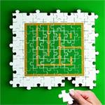 Hami Association over the Past Year