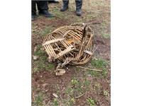 گشایش مدرسه‌ی «مهریار شریف بختیار»